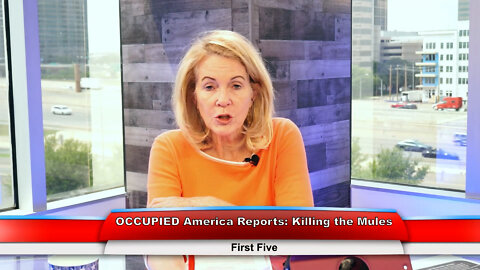 OCCUPIED America Reports: Killing the Mules | First Five 5.09.22 Thumbnail